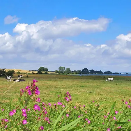 Tatil Evi Holiday Malkolm - 750m From The Sea In Se Jutland Nedre Lysabild